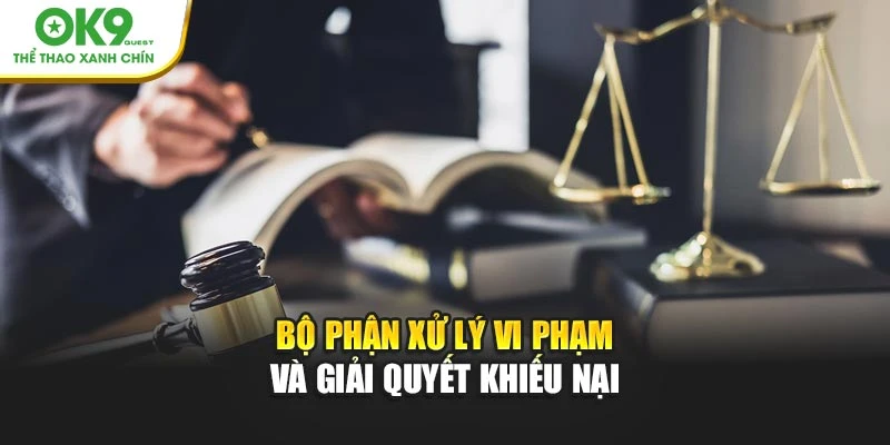 Bộ phận xử lý vi phạm và giải quyết khiếu nại