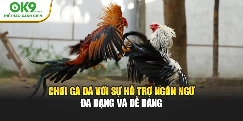 Xác định đúng màu mạng giúp chọn chiến kê hợp vận, nâng cao khả năng chiến thắng