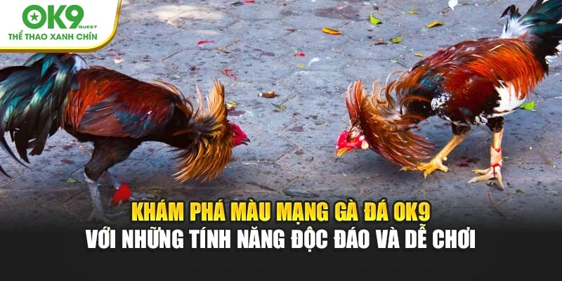 Khám phá màu mạng gà đá OK9 với những tính năng độc đáo và dễ chơi