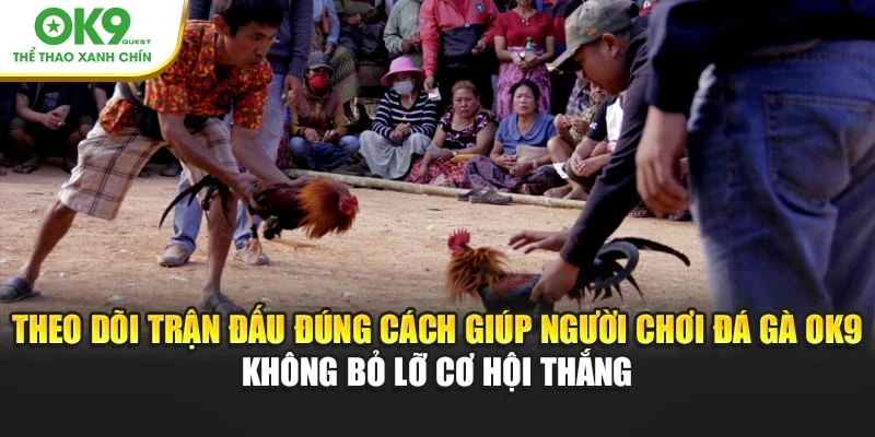 Theo dõi trận đấu đúng cách giúp người chơi đá gà OK9 không bỏ lỡ cơ hội thắng
