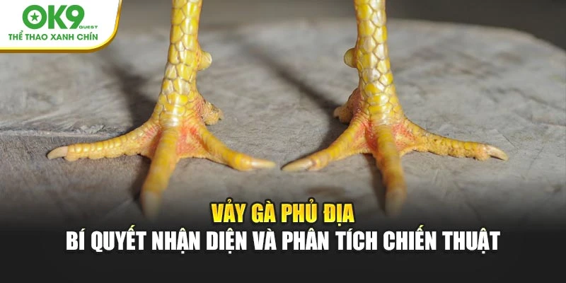 Vảy Gà Phủ Địa – Bí Quyết Nhận Diện và Phân Tích Chiến Thuật